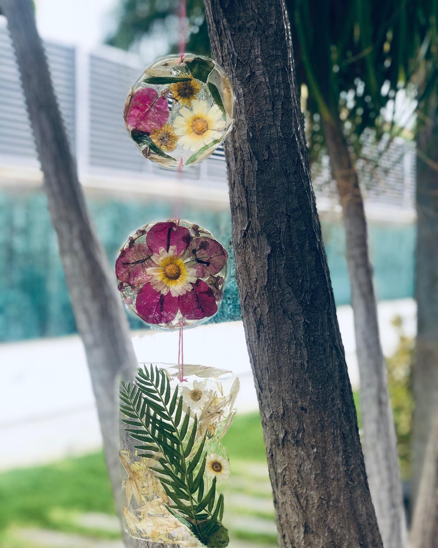 Actividad Montessori - Sun Catcher por Mami Juega Conmigo